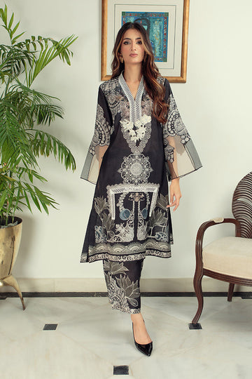 Shamaeel Ansari | Essentials 25 | ECK-09