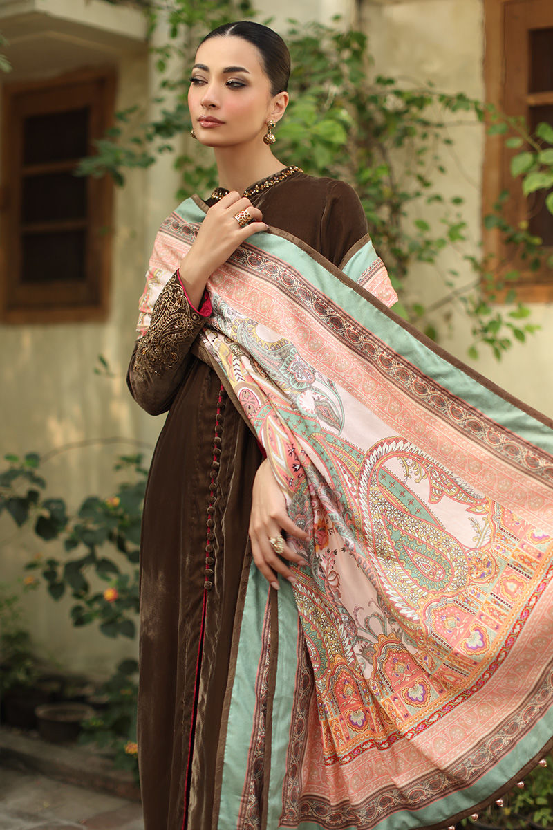 Aisha Imran | Printed Panache Velvet Shawls 25 | Inara Velvet Shawl