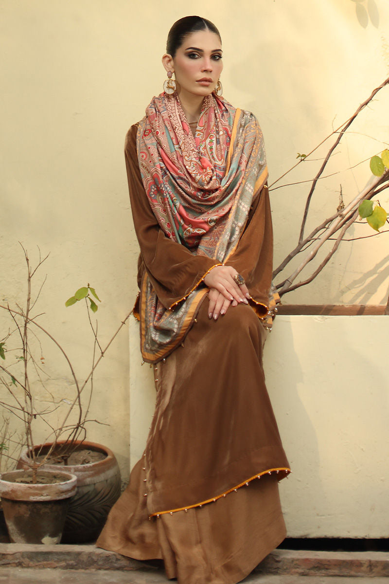 Aisha Imran | Printed Panache Velvet Shawls 25 | Myra Velvet Shawl
