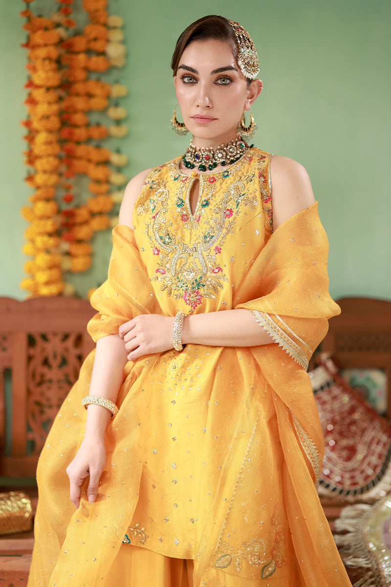 Ansab Jahangir | The Rani Edit | Arooba