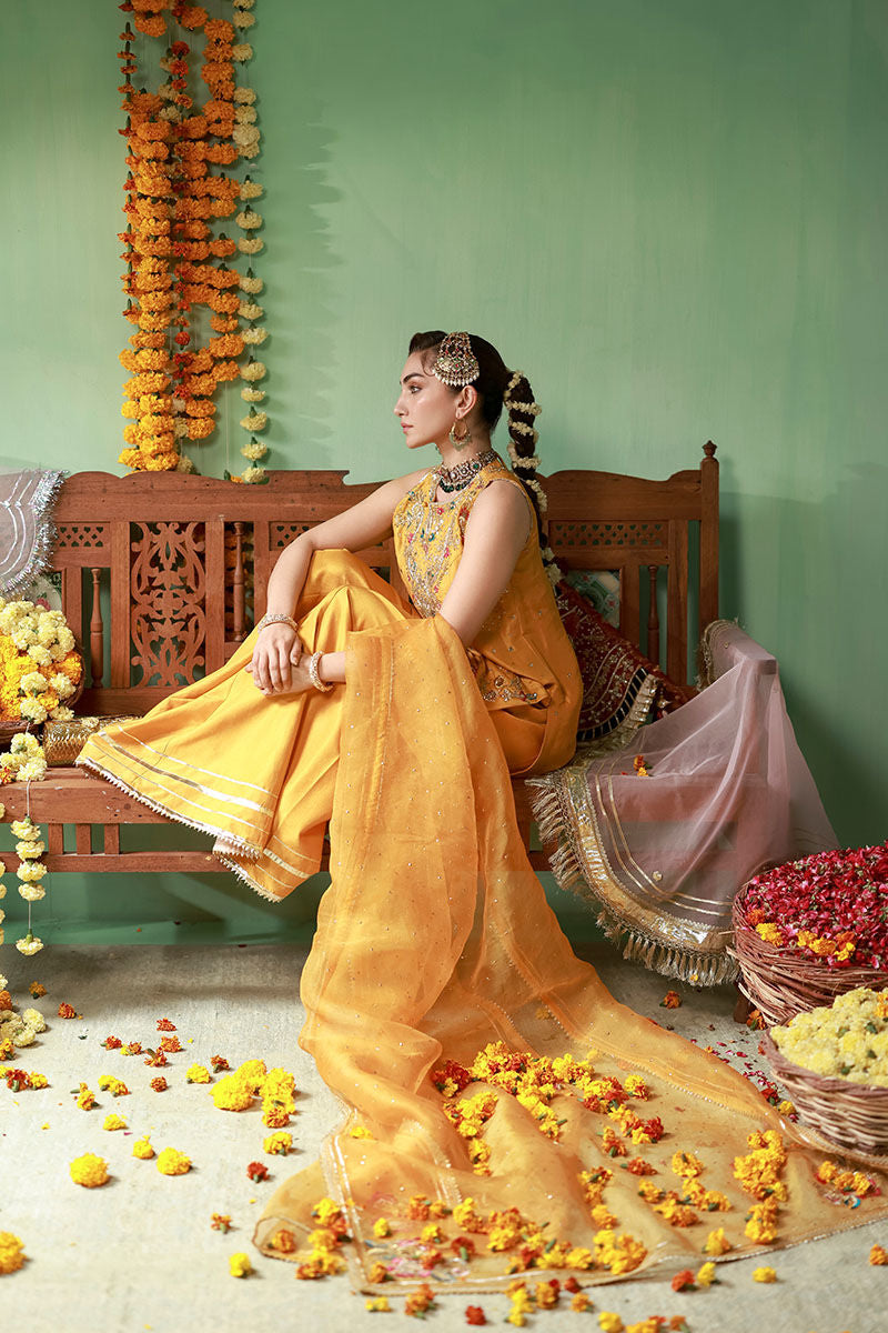 Ansab Jahangir | The Rani Edit | Arooba