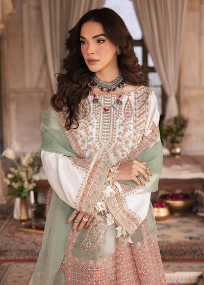 Zarizaa | Almari e Naaz | SEPIA