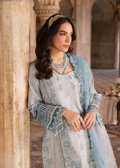 Zarizaa | Almari e Naaz | AMBER