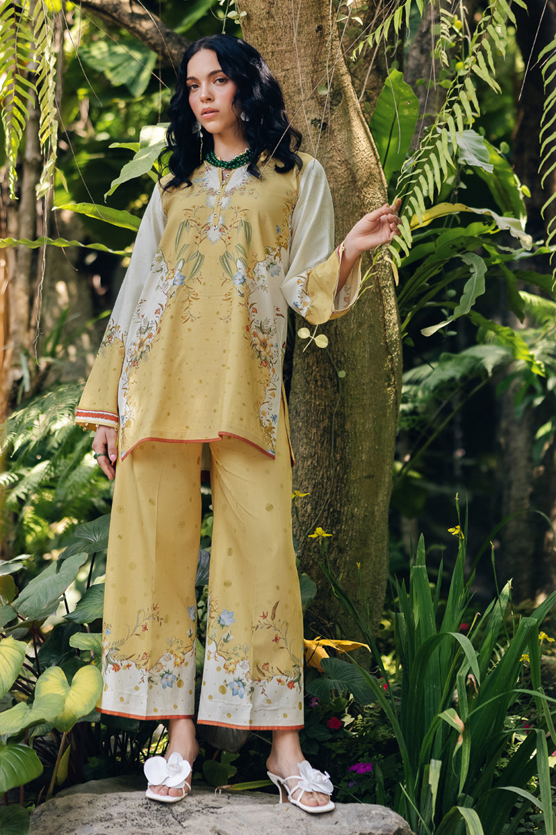 Qalamkar | Printed Co Ords 25 | OP-04 Tena