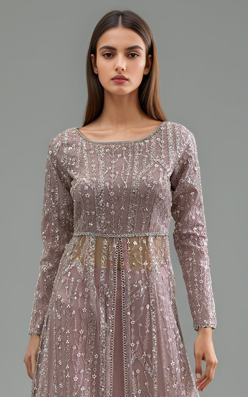 Threads and Motifs | Formal Dresses 25 | Net Embroidered Maxi with Skirt