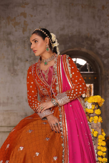 Wahaj M Khan | Banno Wedding Formals | Bano Rust Choli Set