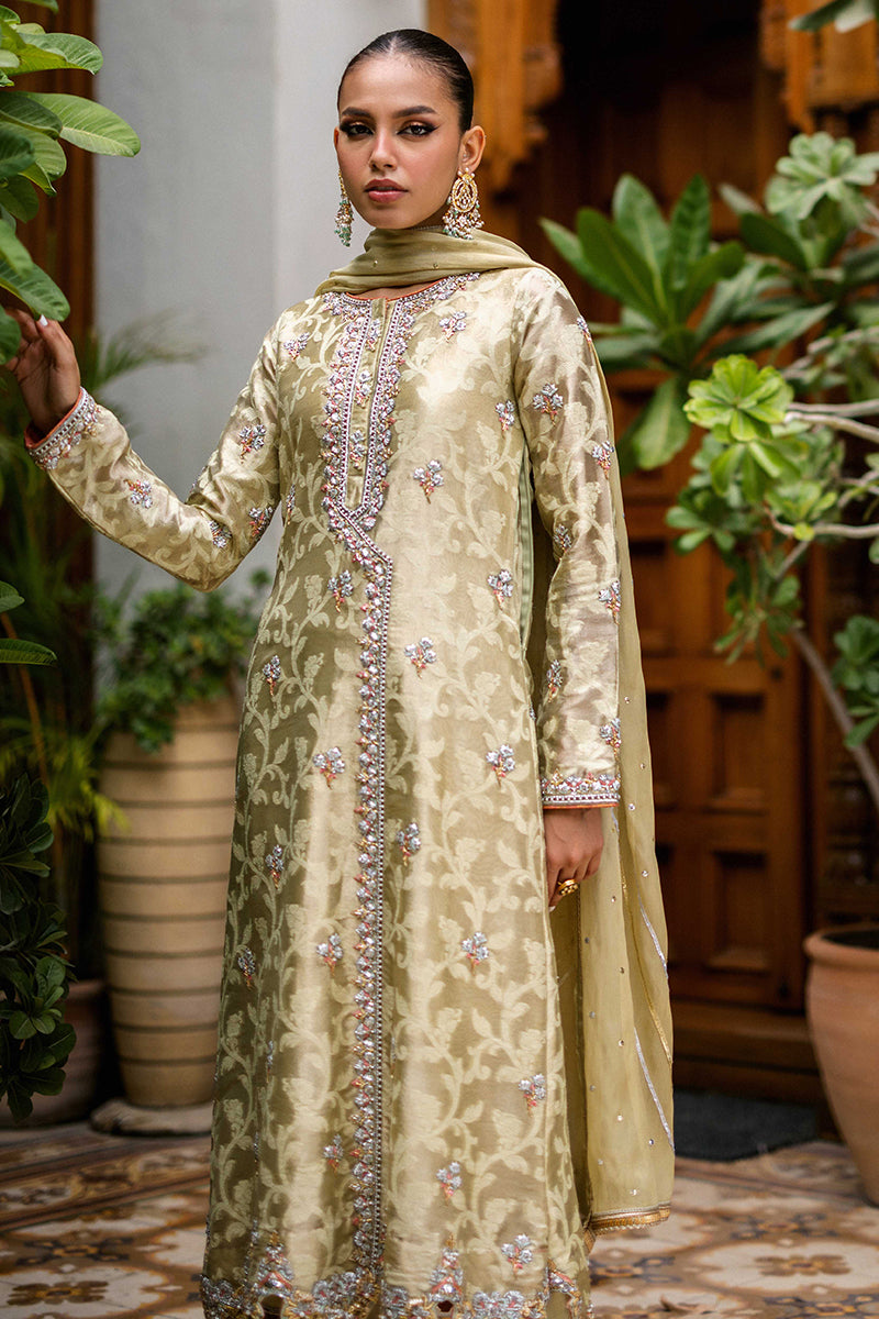 Sana Abbas | Wedding Formals | Mesaam