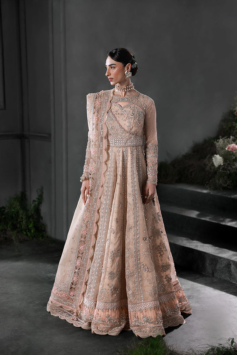 Qalamkar | Elirah Formals 25 | MF-01 LUSTRA