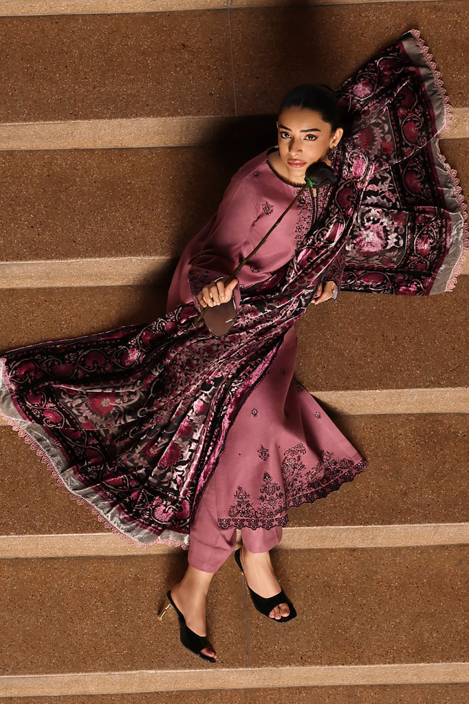 Rajbari | Winter Shawl Exclusive | Winter Shawl 02