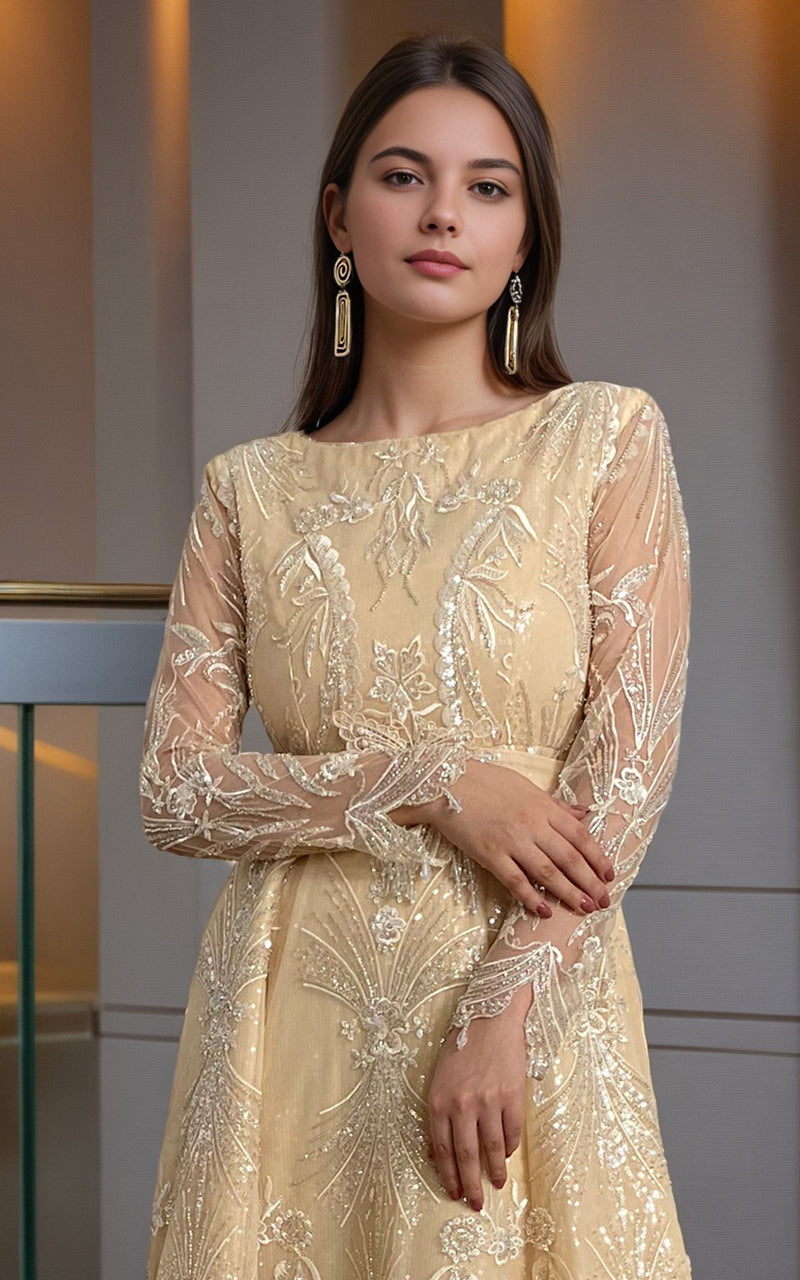 Threads and Motifs | Formal Dresses 25 | Net Embroidered Maxi