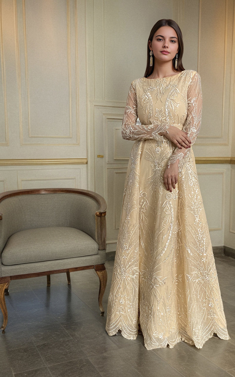 Threads and Motifs | Formal Dresses 25 | Net Embroidered Maxi