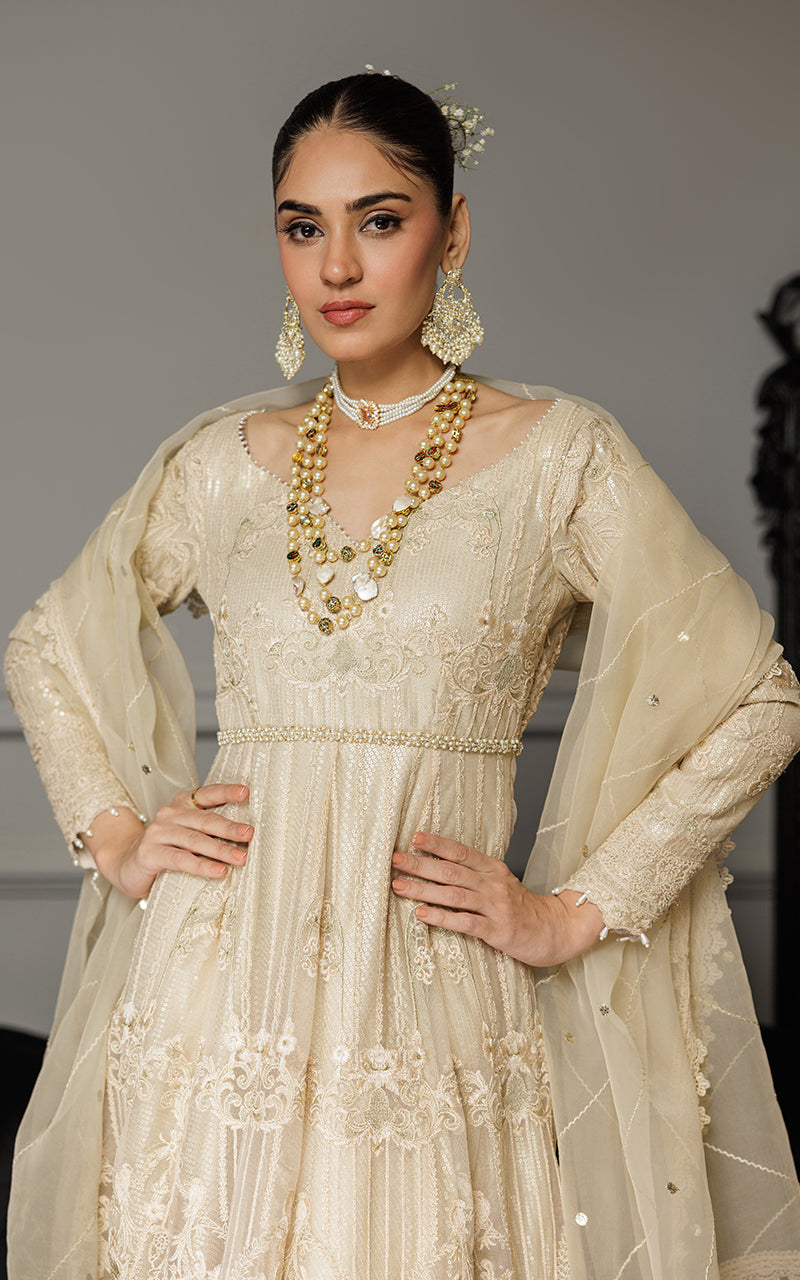 Threads and Motifs | Formal Dresses 25 | Net Embroidered Maxi