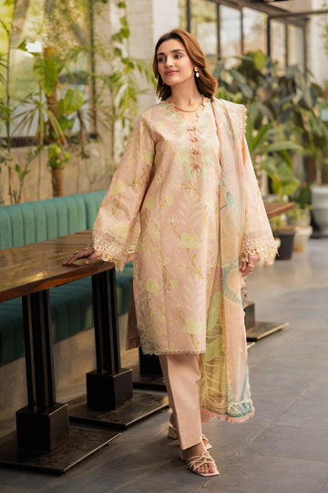 Rangrasiya | Lifestyle Summer Edit 25 | Ivy