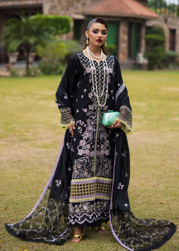 Paras by Pasha | Bloom and Beyond | Evening Bloom