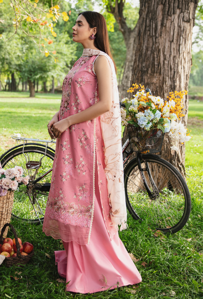 Hum Dum | Summer Breeze 25 | D04