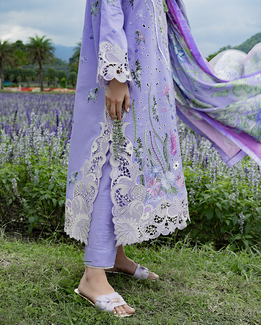 Mushq | The Secret Garden Lawn | Daisy Reverie