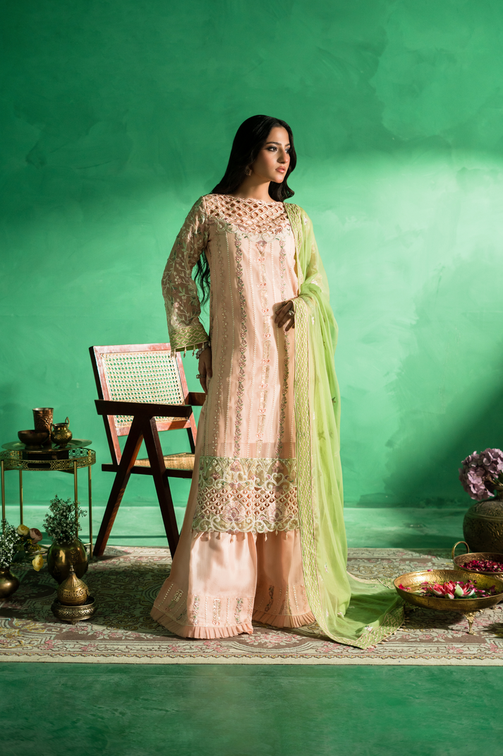 Zebtan | Farmaish Formals | FC-08
