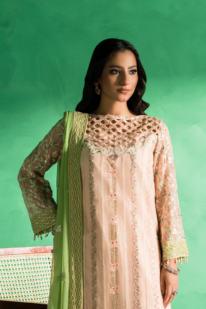 Zebtan | Farmaish Formals | FC-08