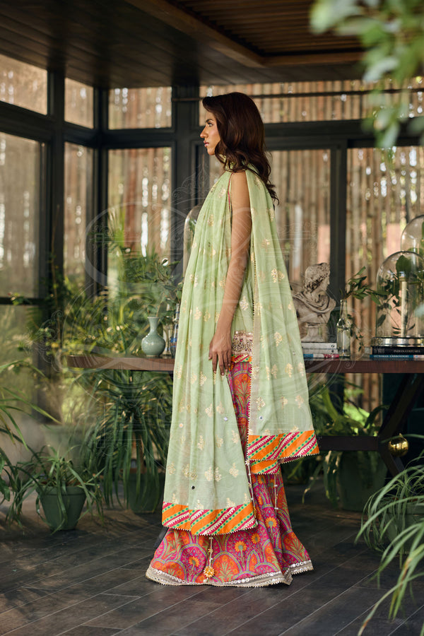 Layla Chatoor | Luxury Pret | Aveline
