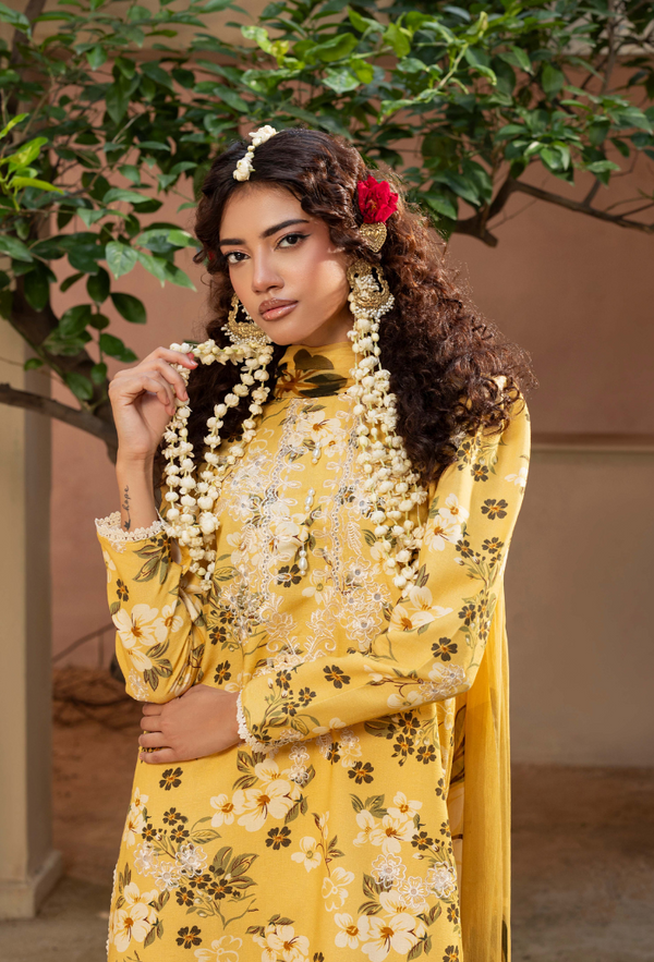 Humdum | Zaiba 25 | D03