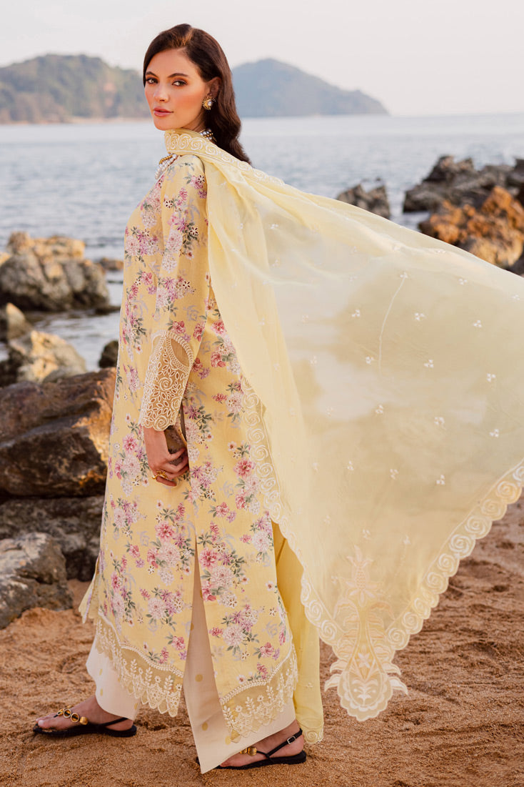 Marjjan | Sahil Lawn | MPL-88 B (Yellow)