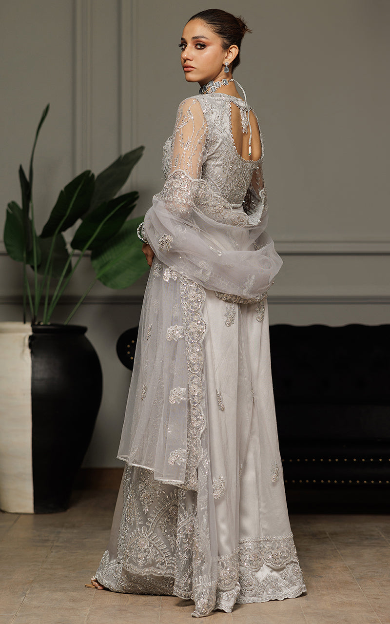 Threads and Motifs | Formal Dresses 25 | Net Embroidered Dress With Skirt And Dupatta