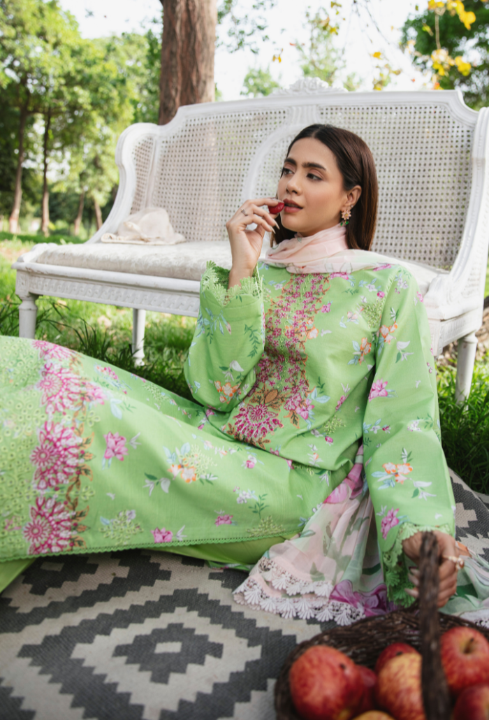 Hum Dum | Summer Breeze 25 | D08