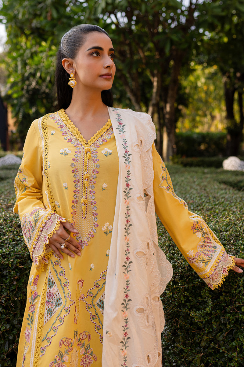 Qalamkar | Q Line Lawn 25 | QM-10 Olena