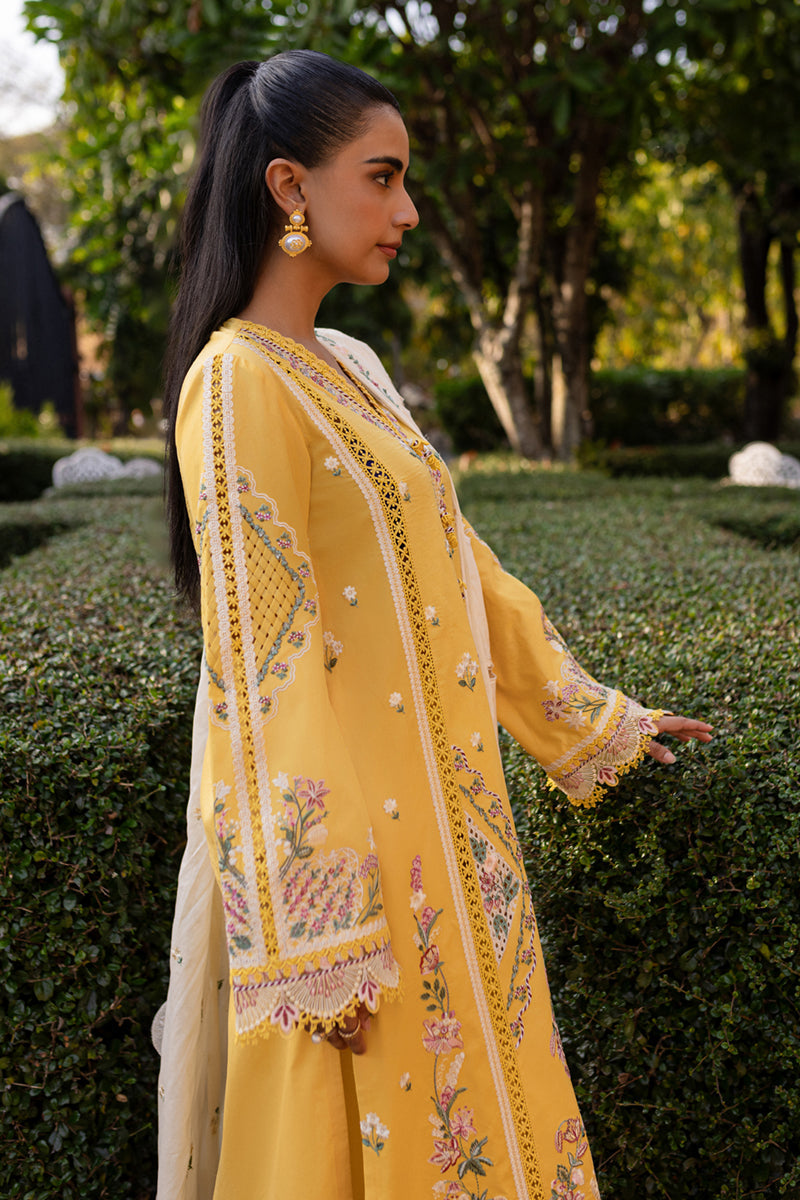Qalamkar | Q Line Lawn 25 | QM-10 Olena