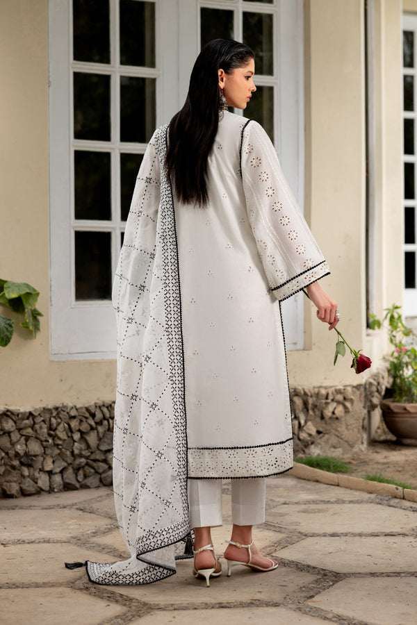Zarif | Summer Lawn 26 | LINNEA