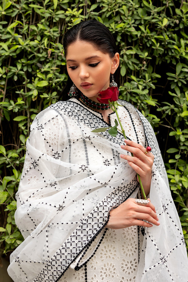 Zarif | Summer Lawn 26 | LINNEA