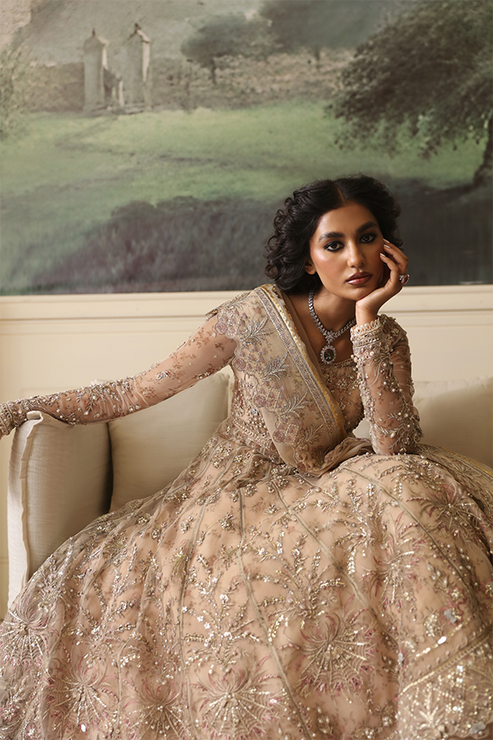 Nyra | Wedding Festive 24 | Dahlia