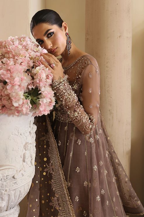 Nyra | Wedding Festive 24 | Aster