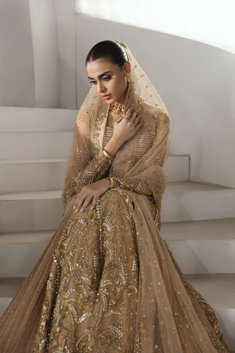 Caia | Party Wears 25 | Emira