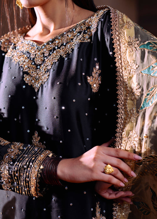 Haseens | Darbar Formals | Shabrang
