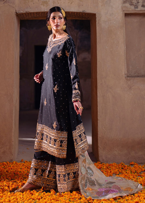 Haseens | Darbar Formals | Shabrang