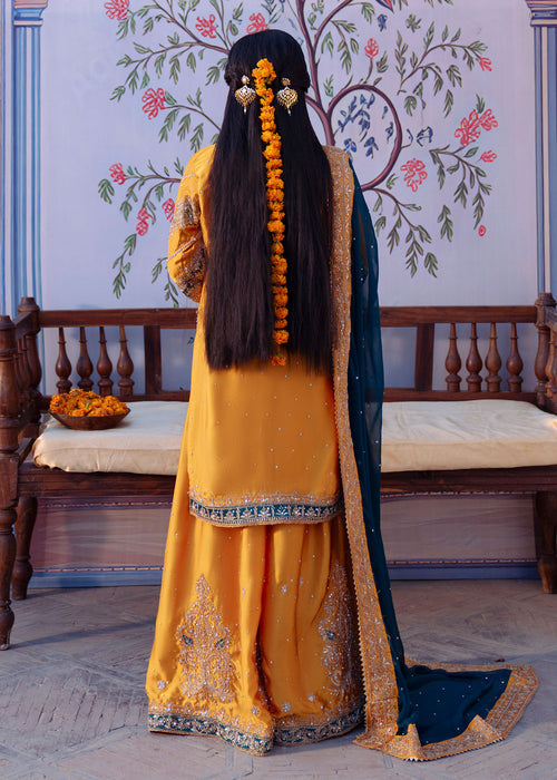 Haseens | Darbar Formals | Mehrāb