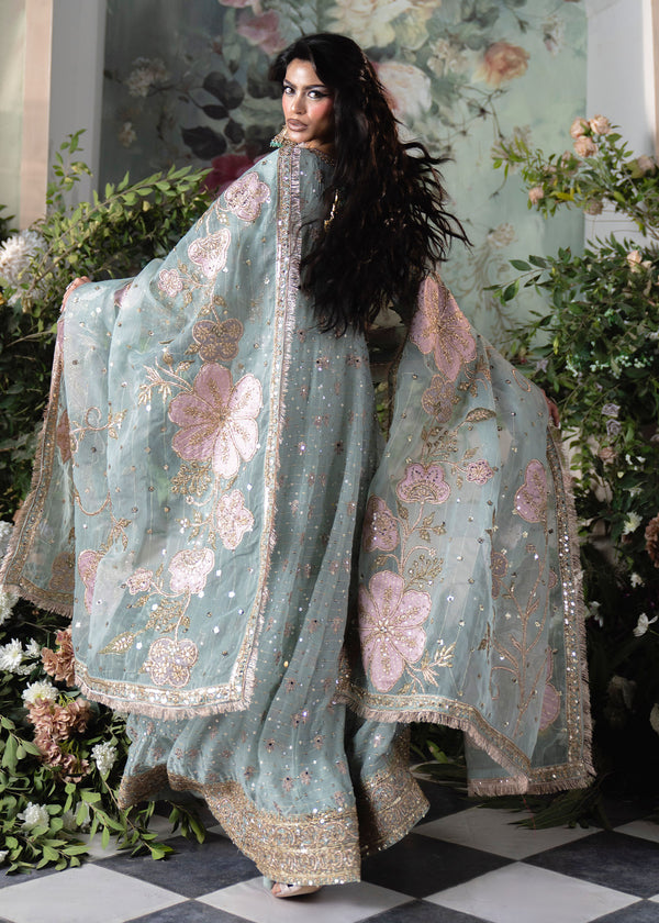 Haseens | Naira Formals | Falak