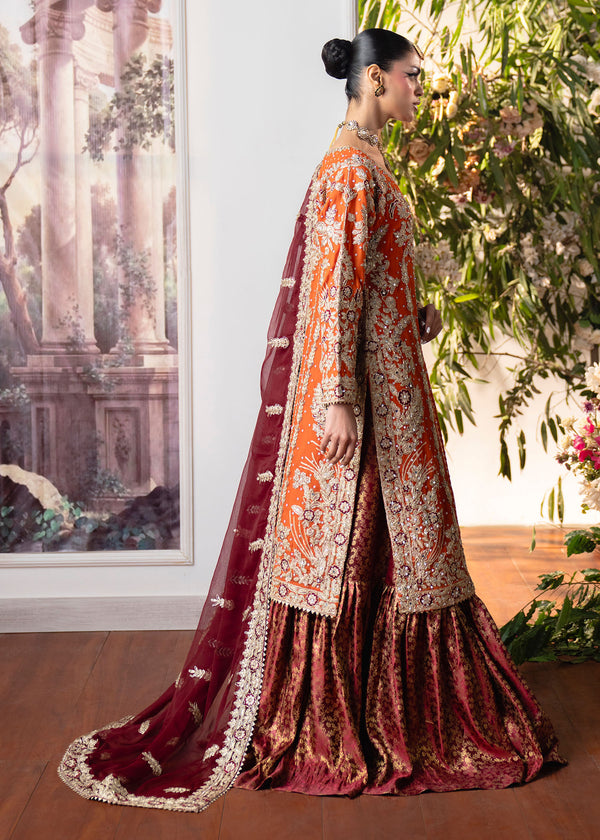 Haseens | Naira Formals | Zafraan