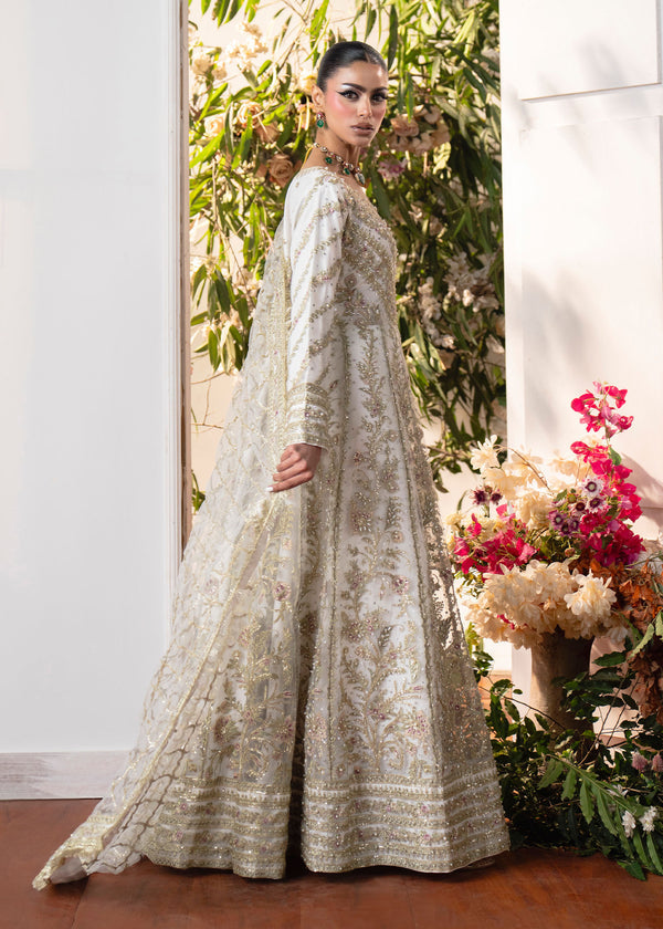 Haseens | Naira Formals | Roshni