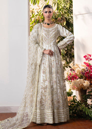 Haseens | Naira Formals | Roshni