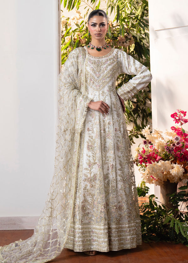 Haseens | Naira Formals | Roshni