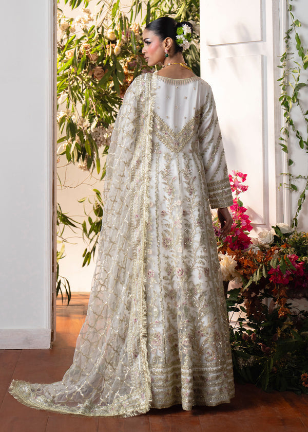 Haseens | Naira Formals | Roshni