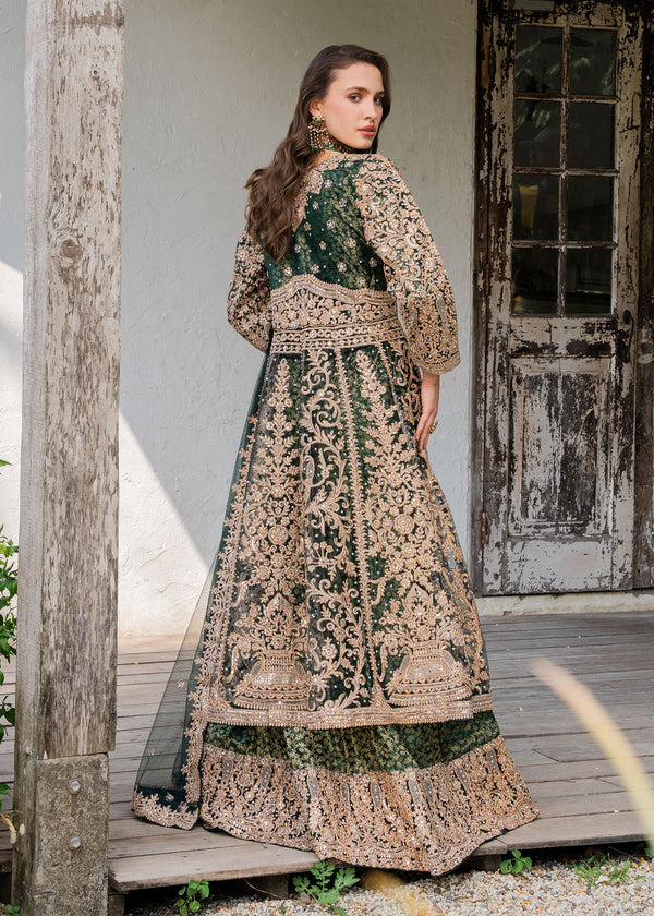 Haseens | Ayra Formals | Malaak