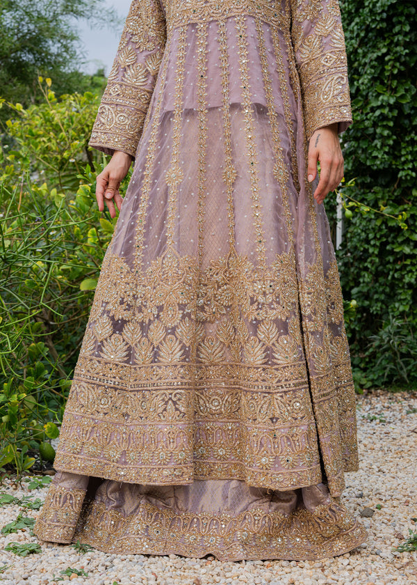 Haseens | Ayra Formals | Samaraa