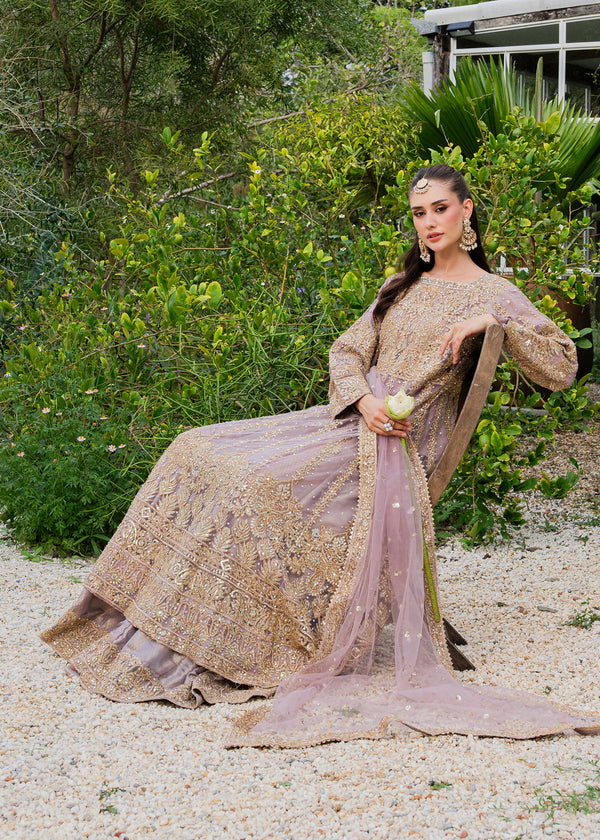 Haseens | Ayra Formals | Samaraa