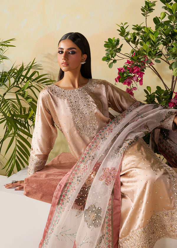 Haseens | Retaj Formals | Unaisa