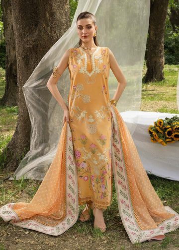 Saira Shakira | Bloom Lawn | LILY 1B