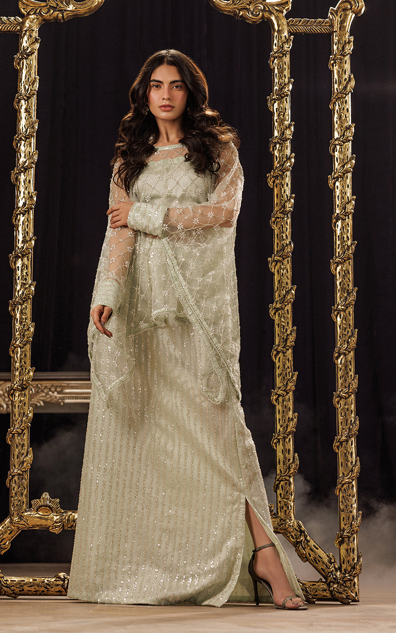 Threads and Motifs | Formal Dresses 25 | Net Embroidered Cape With Tube And Skirt