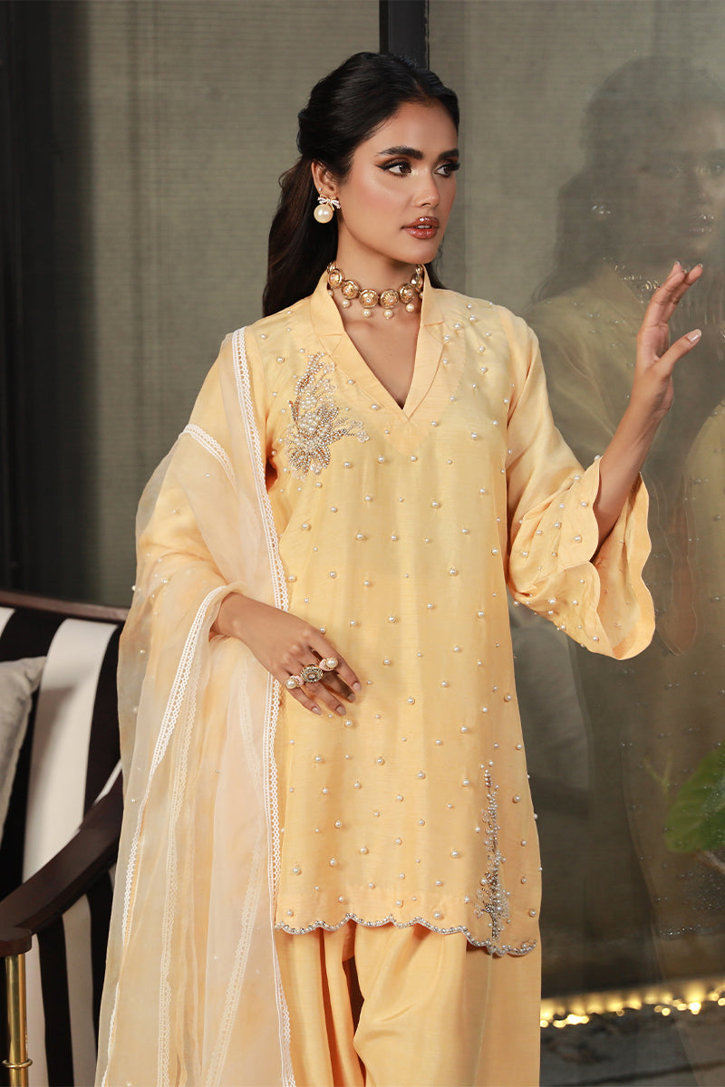 Wardha Saleem | Luxury Pret Traditional Wear | ZARIA